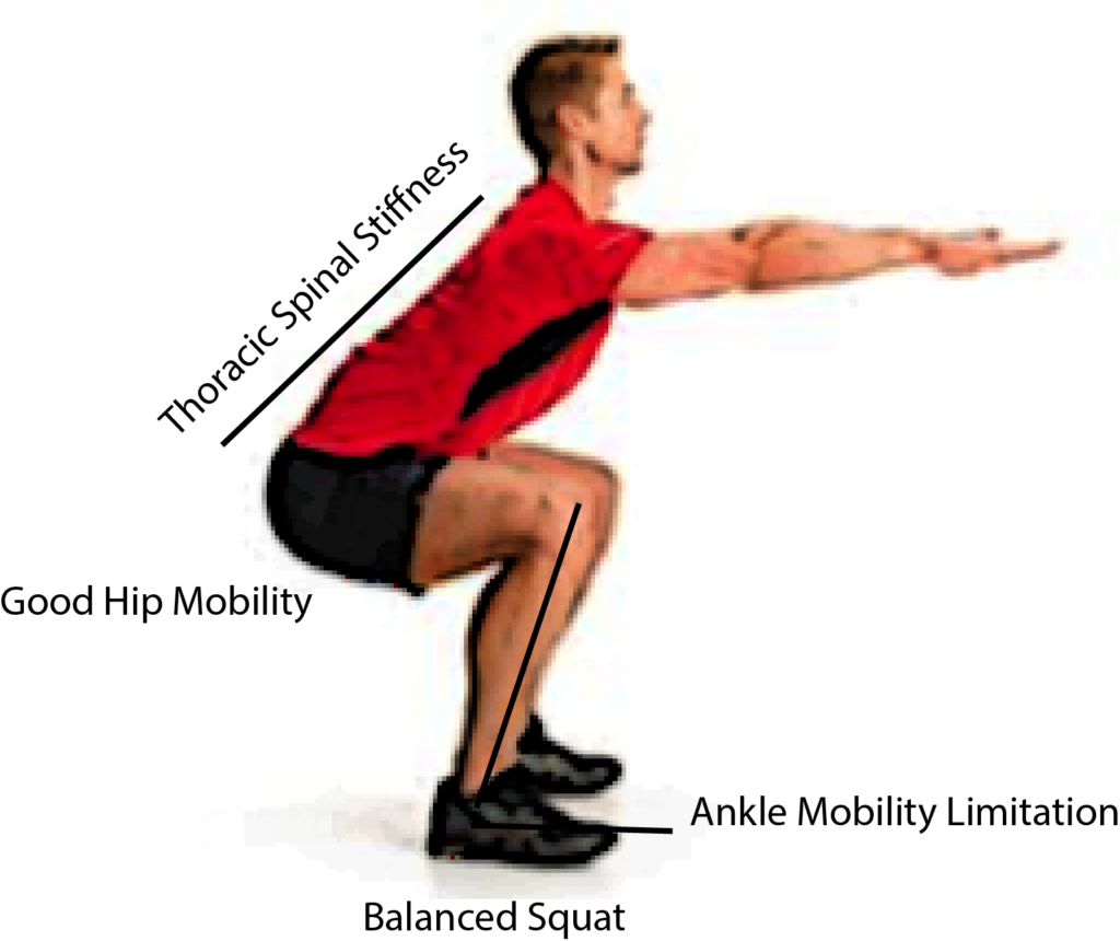 How Well Do You Squat? Precision Performance and Therapy